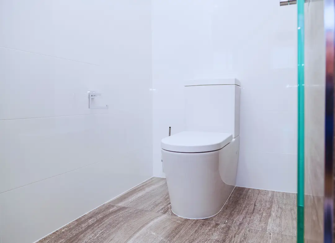 Remplacement de wc Marnaz